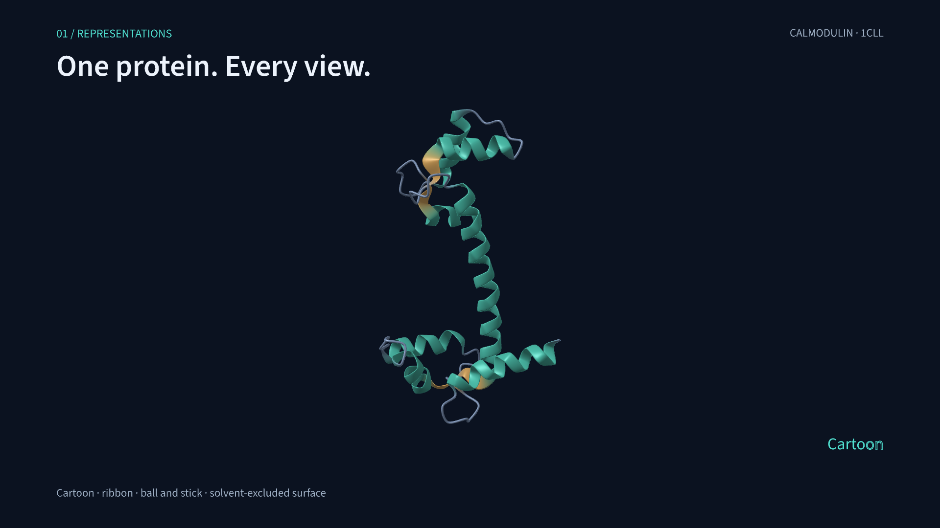 Calmodulin in the continuous ProteinMotion feature tour