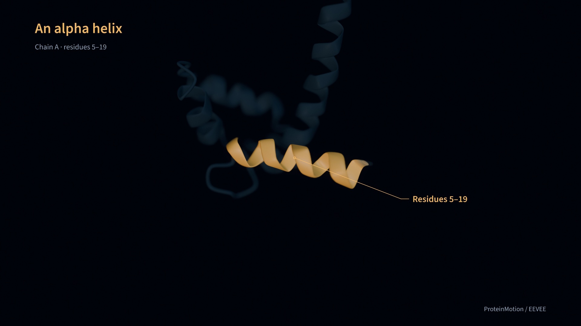 Calmodulin helix with depth of field